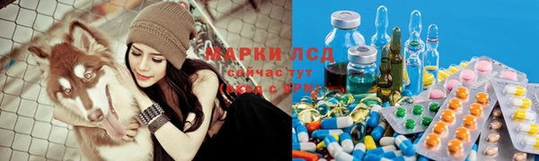 мяу мяу мука Верхний Тагил