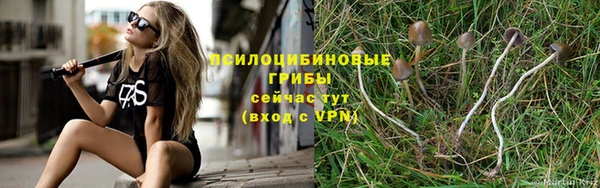 прущая мука Верея